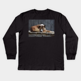 Dingo Kids Long Sleeve T-Shirt